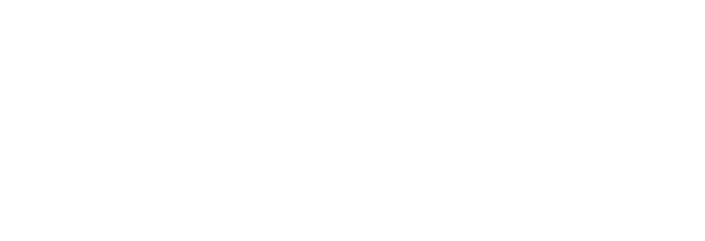 Cerne Capital